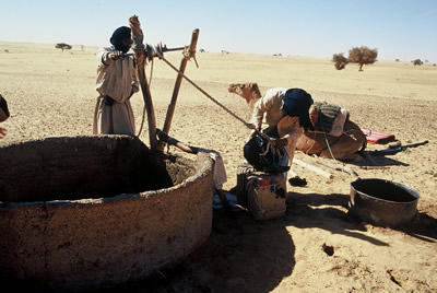 image4